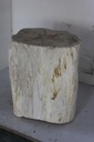 Raw Edge Petrified Wood Stump - Natural Light