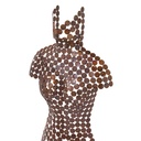 Female Torso