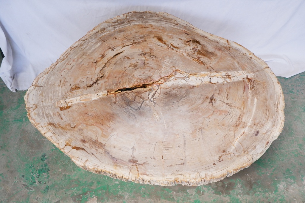 Eliza Coffee Table - Natural Light