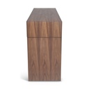 Eka Console Table