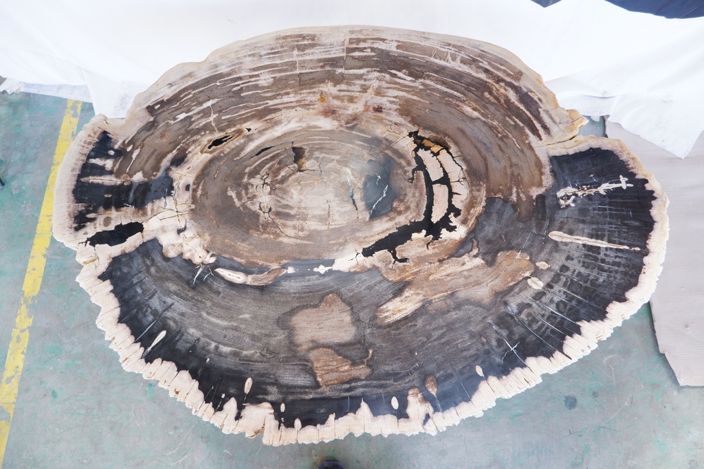 Eliza Coffee Table - Natural Dark