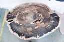 Eliza Coffee Table - Natural Dark