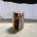 Polished Petrified Wood Stump - Natural Dark