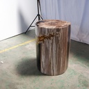 Polished Petrified Wood Stump - Natural Dark