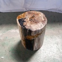 Polished Petrified Wood Stump - Natural Dark