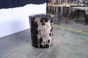Polished Petrified Wood Stump - Natural Dark