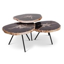 Jeno Nesting Coffee Table (set of 3) - Natural Dark