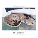 Lastra Coffee Table - Natural Dark (Set of 2)