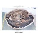 Eliza Coffee Table - Natural Dark