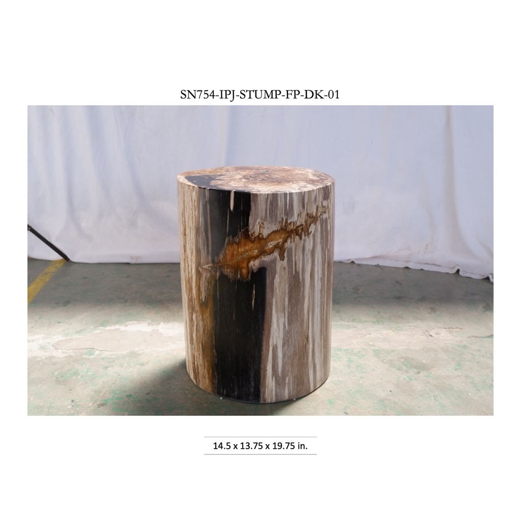 Polished Petrified Wood Stump - Natural Dark