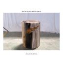 Polished Petrified Wood Stump - Natural Dark