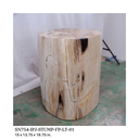 Polished Petrified Wood Stump - Natural Light