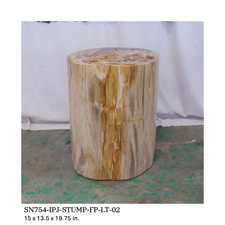 Polished Petrified Wood Stump - Natural Light